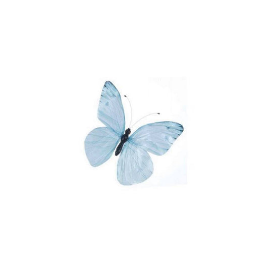 A Note from the Founder: Metamorphosis